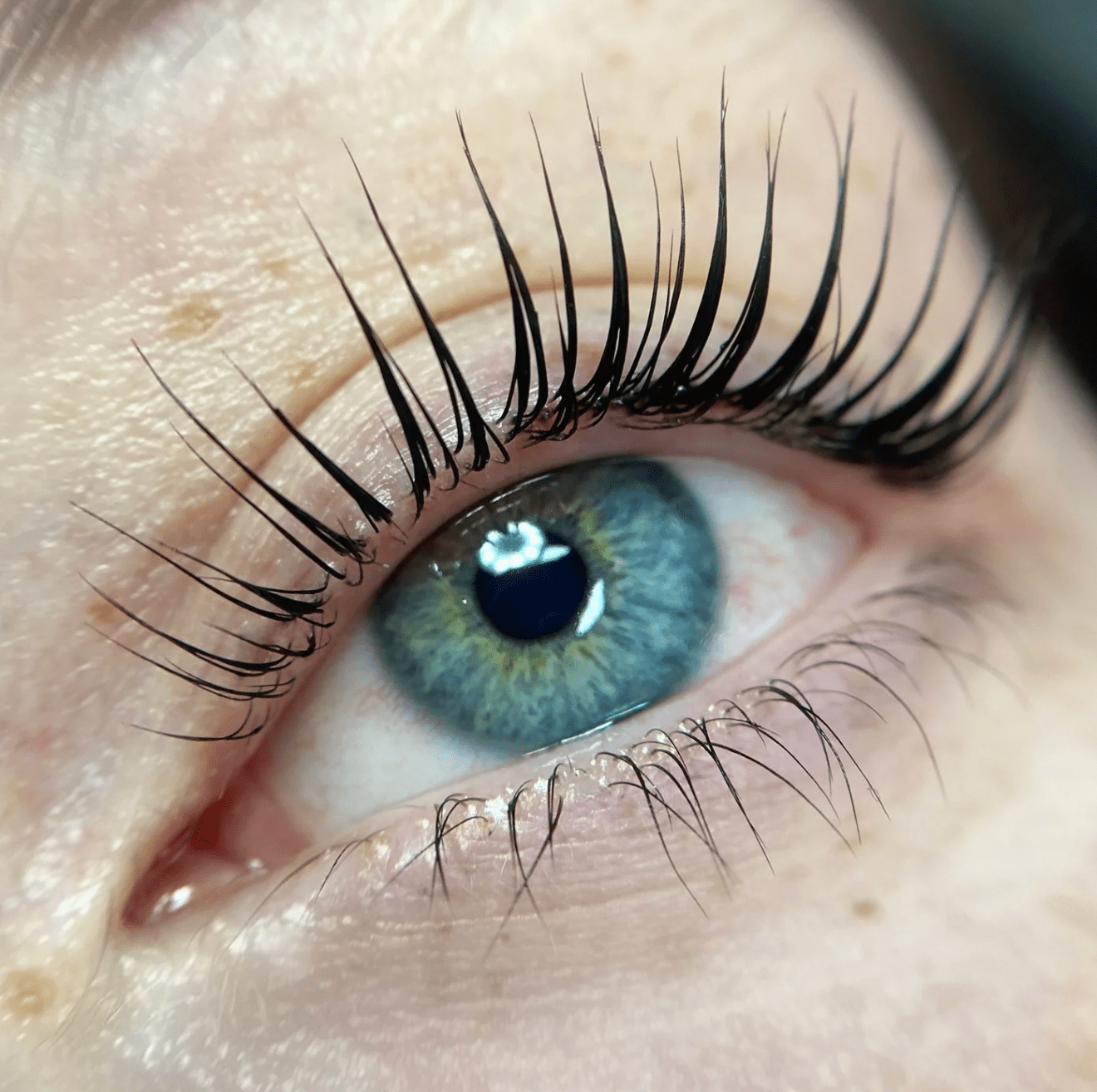 Lash artist applying gentle Elleeplex Profusion cysteamine lotion to natural eyelashes wrapped on a shield during a conversion course case study.