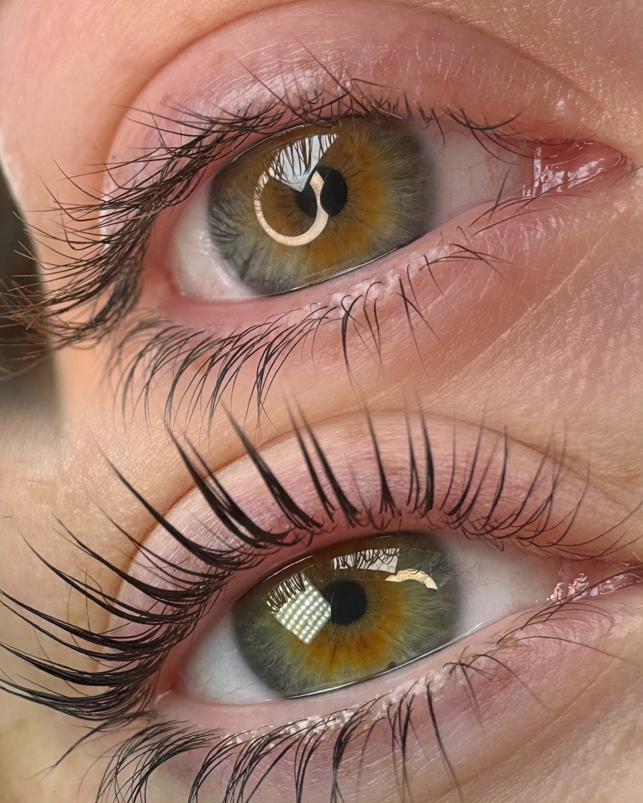 Close-up view of Elleeplex ReGEN Next Gen Step 3 Powerbond treatment for strengthening lash and brow hair elasticity.