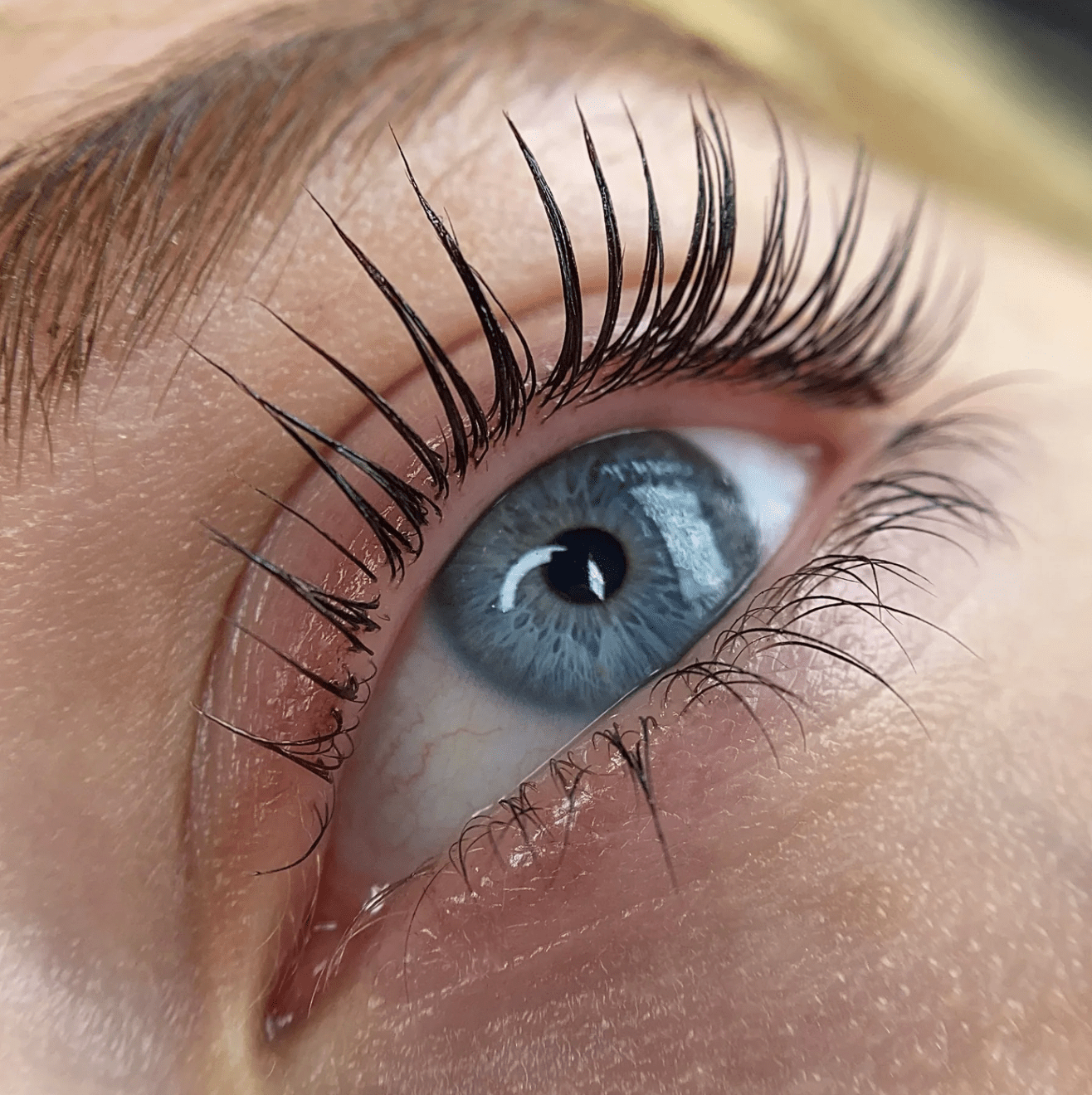 Lash artist applying gentle Elleeplex Profusion cysteamine lotion to natural eyelashes wrapped on a shield during a conversion course case study.