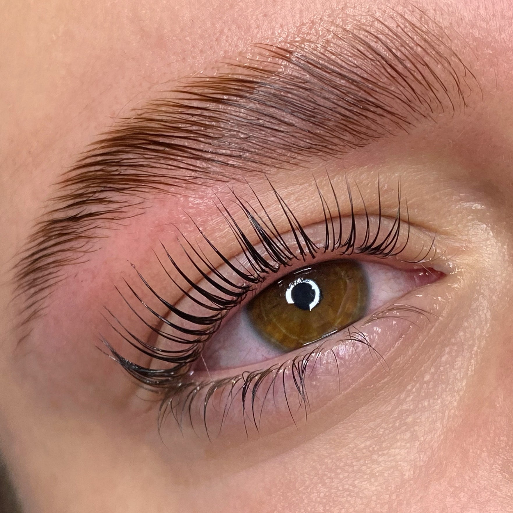 Elleeplex Profusion brow lamination training course starter kit with lamination sachets, brow wrap, and ReGEN Next Gen treatment.