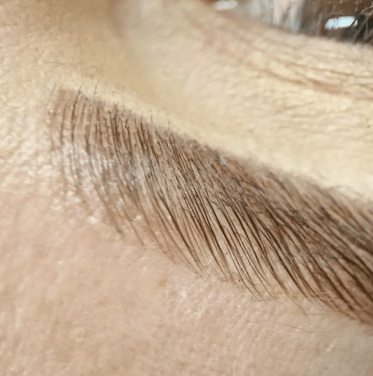 Close-up view of thioglycolic acid-free Elleeplex Profusion brow lamination sachet pack included with the conversion course.