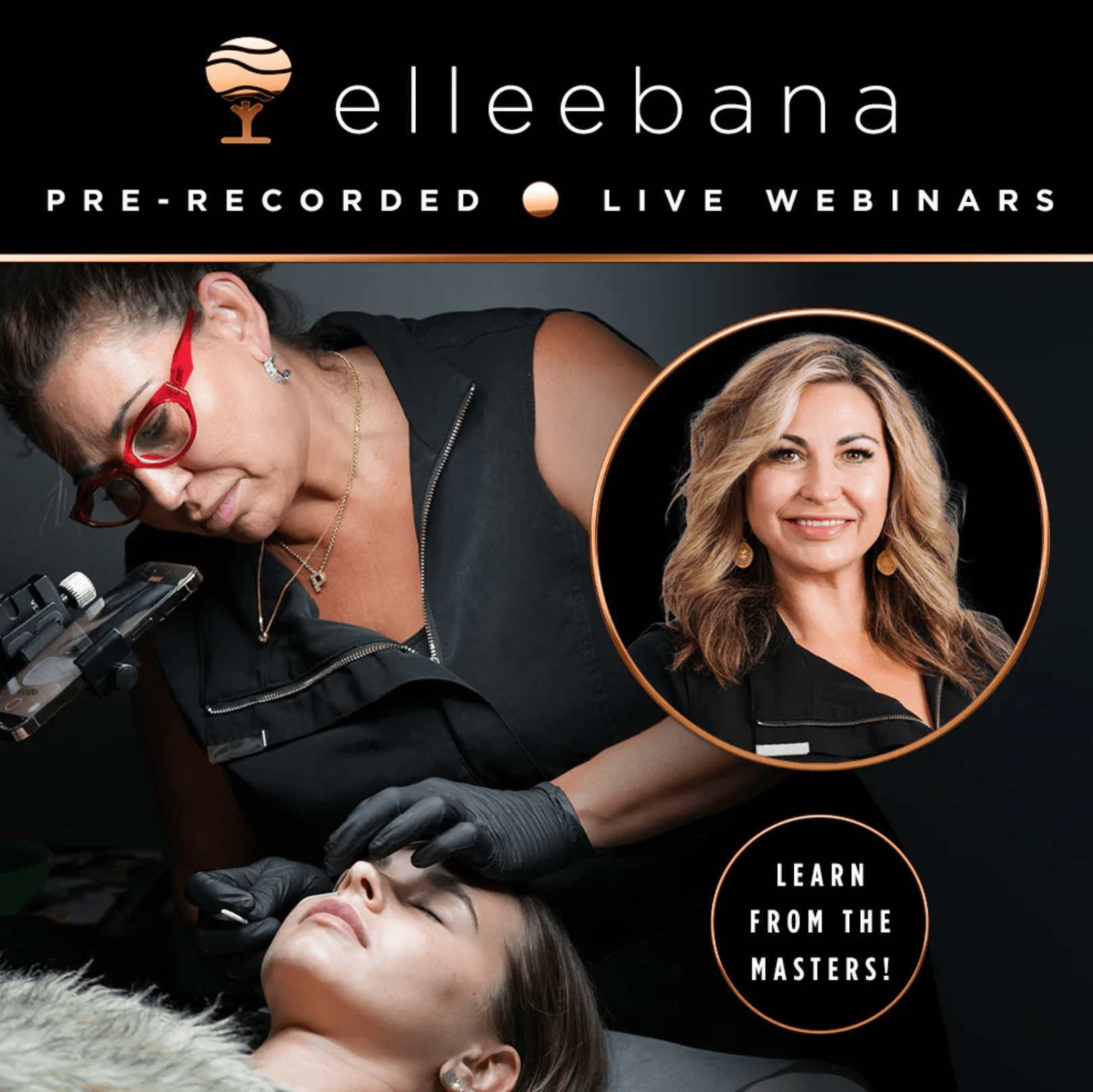 Brow Lamination - From Basics to Brilliance - Shannon Boyle