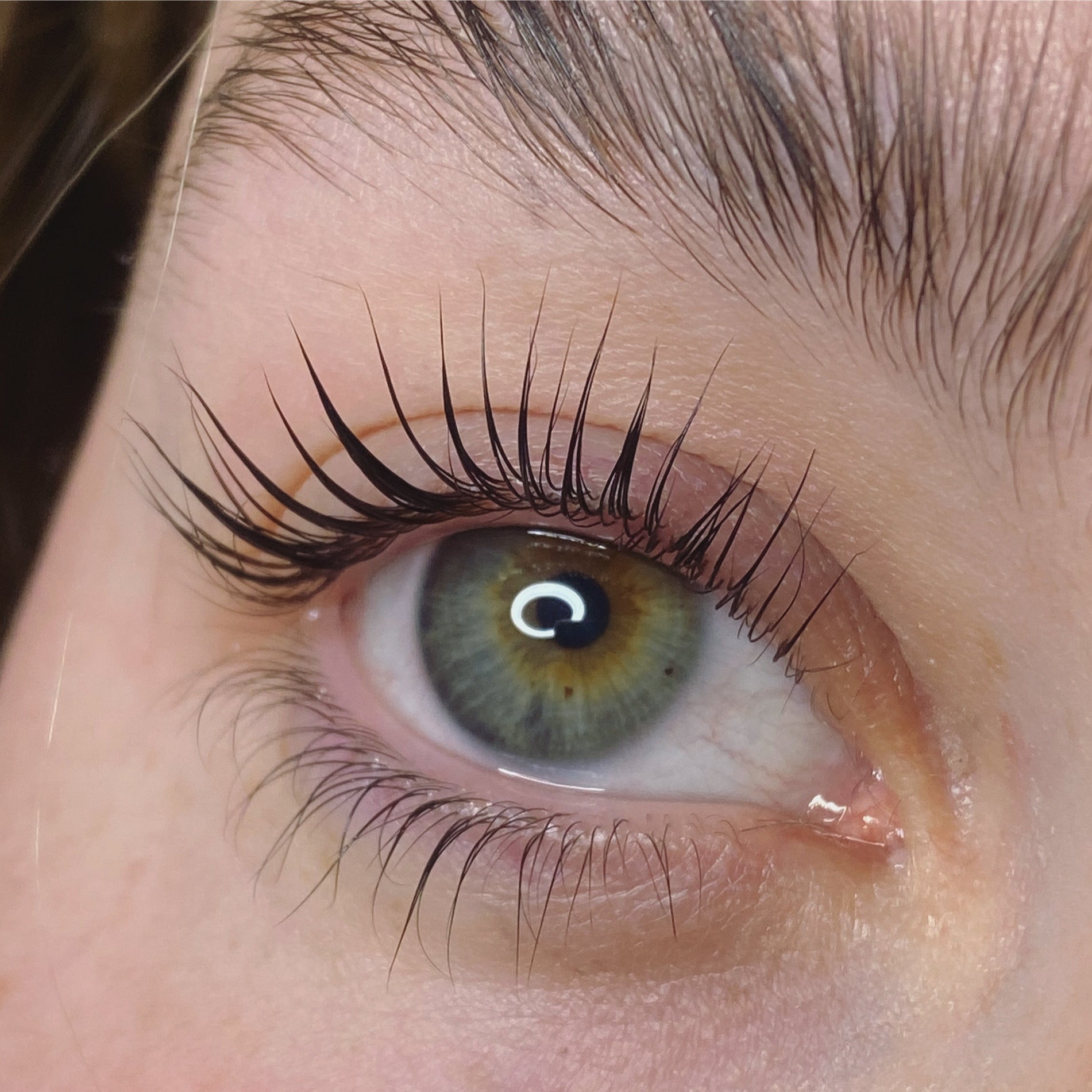 Elleebana Lash Lift Course with Shannon Boyle Artistry