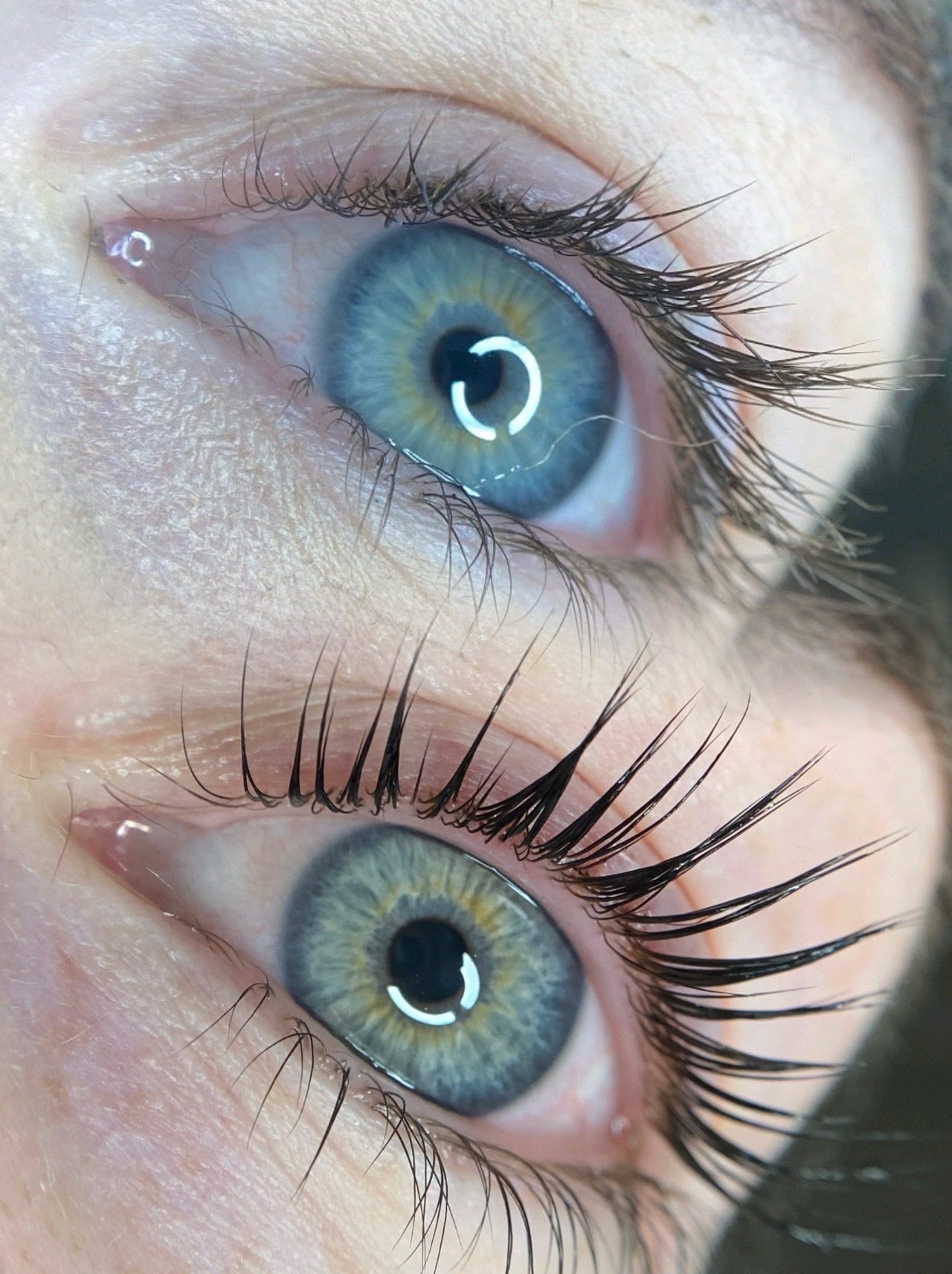 Elleebana Lash Lift Course.1 Day in Person Training