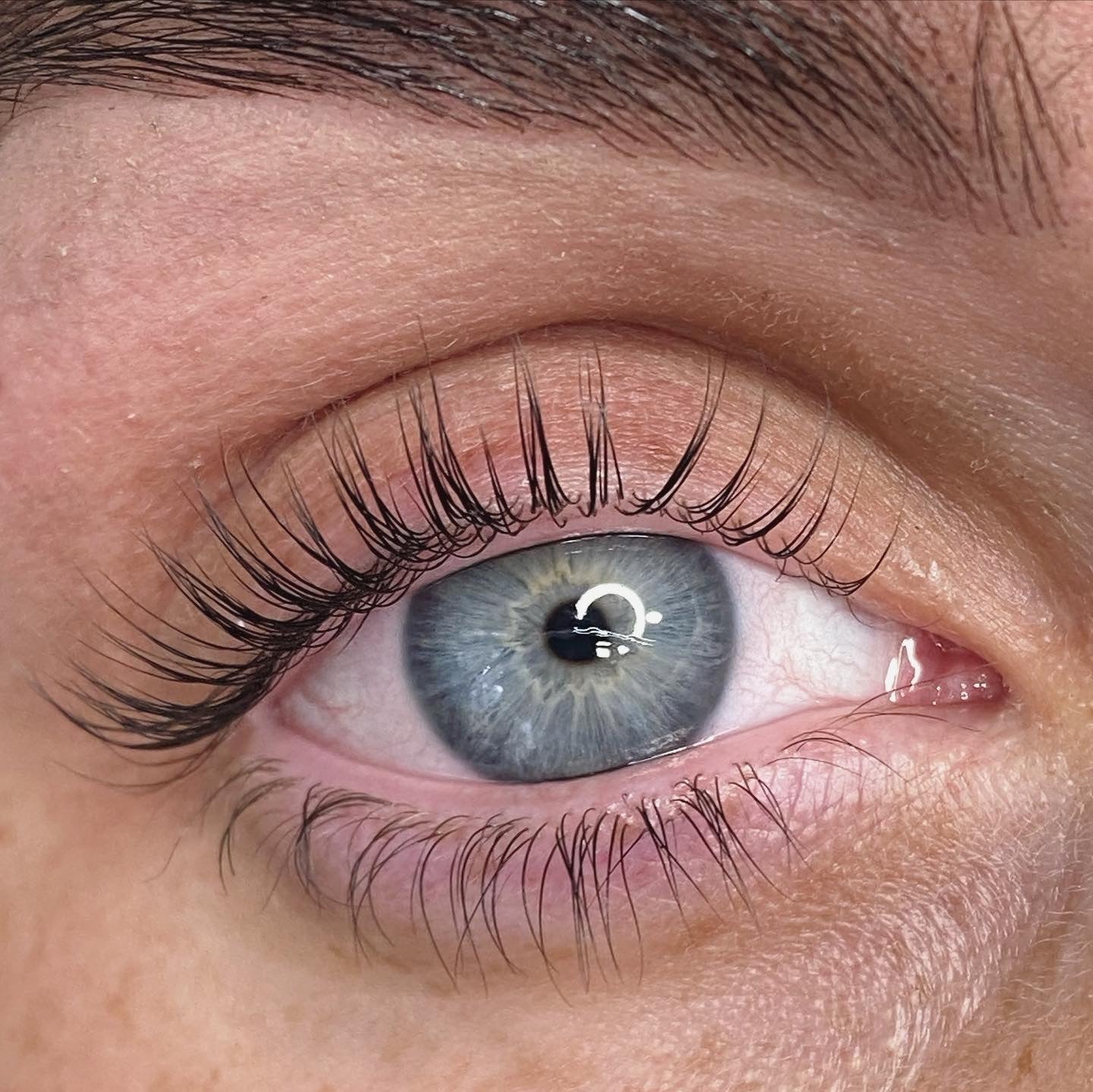 Elleebana Lash Lift Course | 1 Day In Person | Belfast, NI