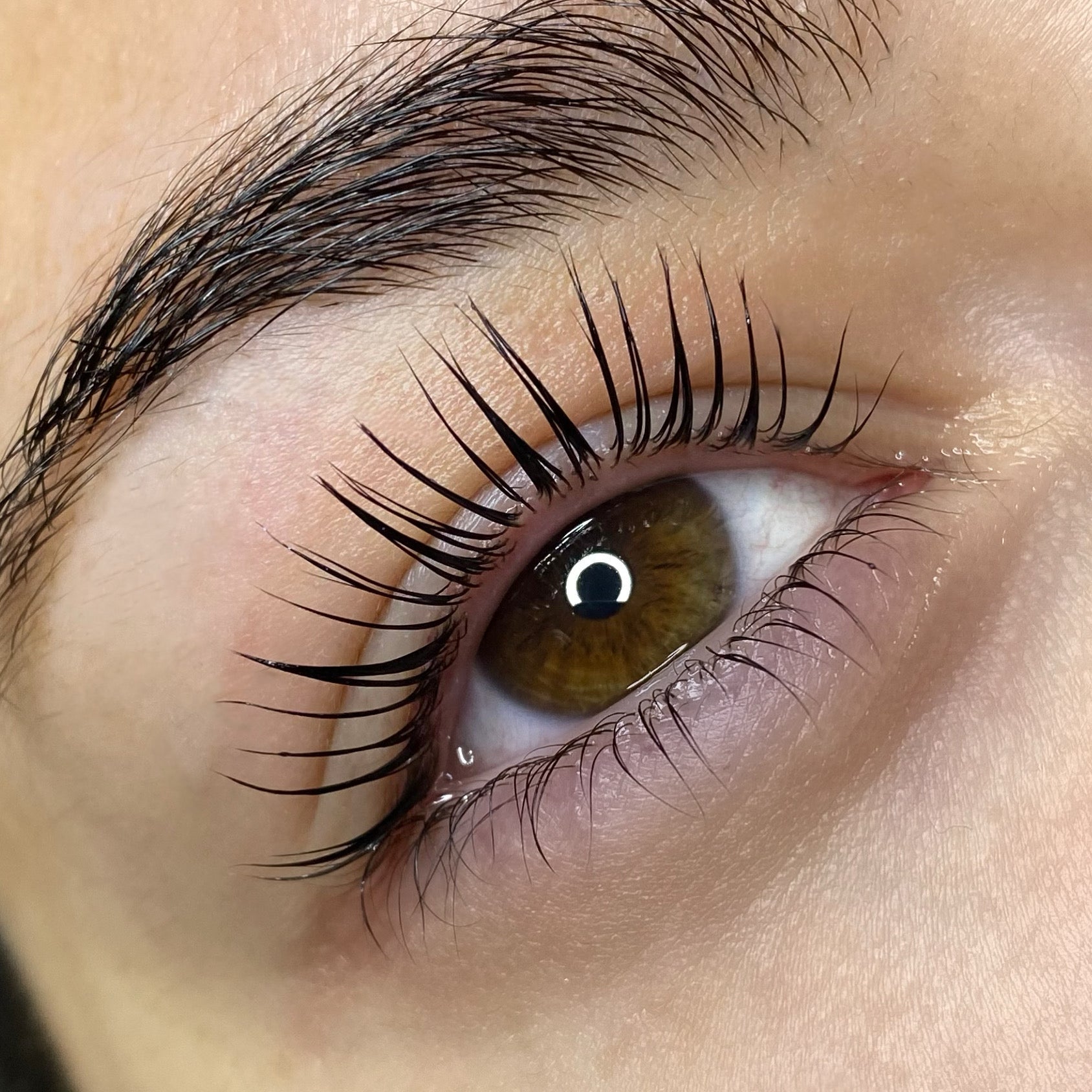 Elleeplex Profusion lash lamination training course starter kit with lotion sachets, silicone shields, and ReGEN Next Gen conditioning solution.