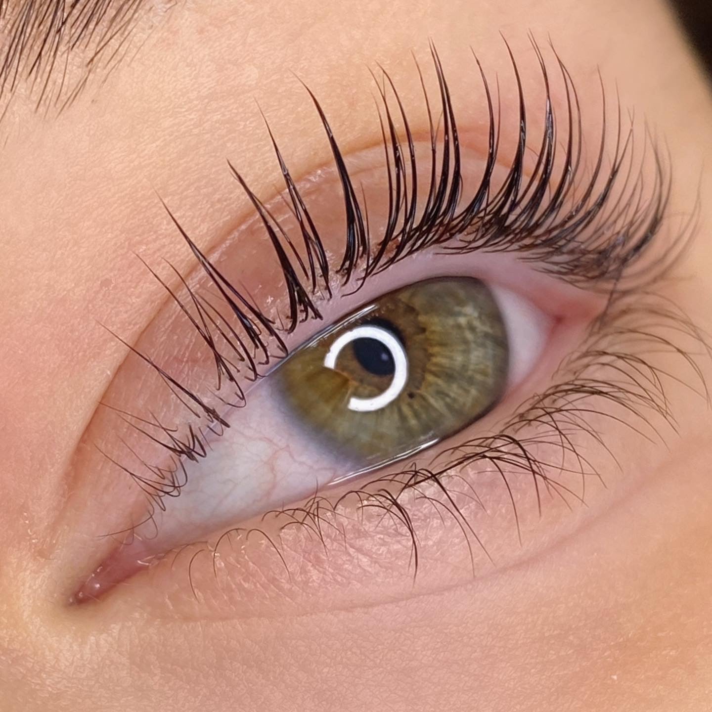 Elleeplex Profusion lash and brow lamination training course kit with sachets, shields, and ReGEN Next Gen treatment.
