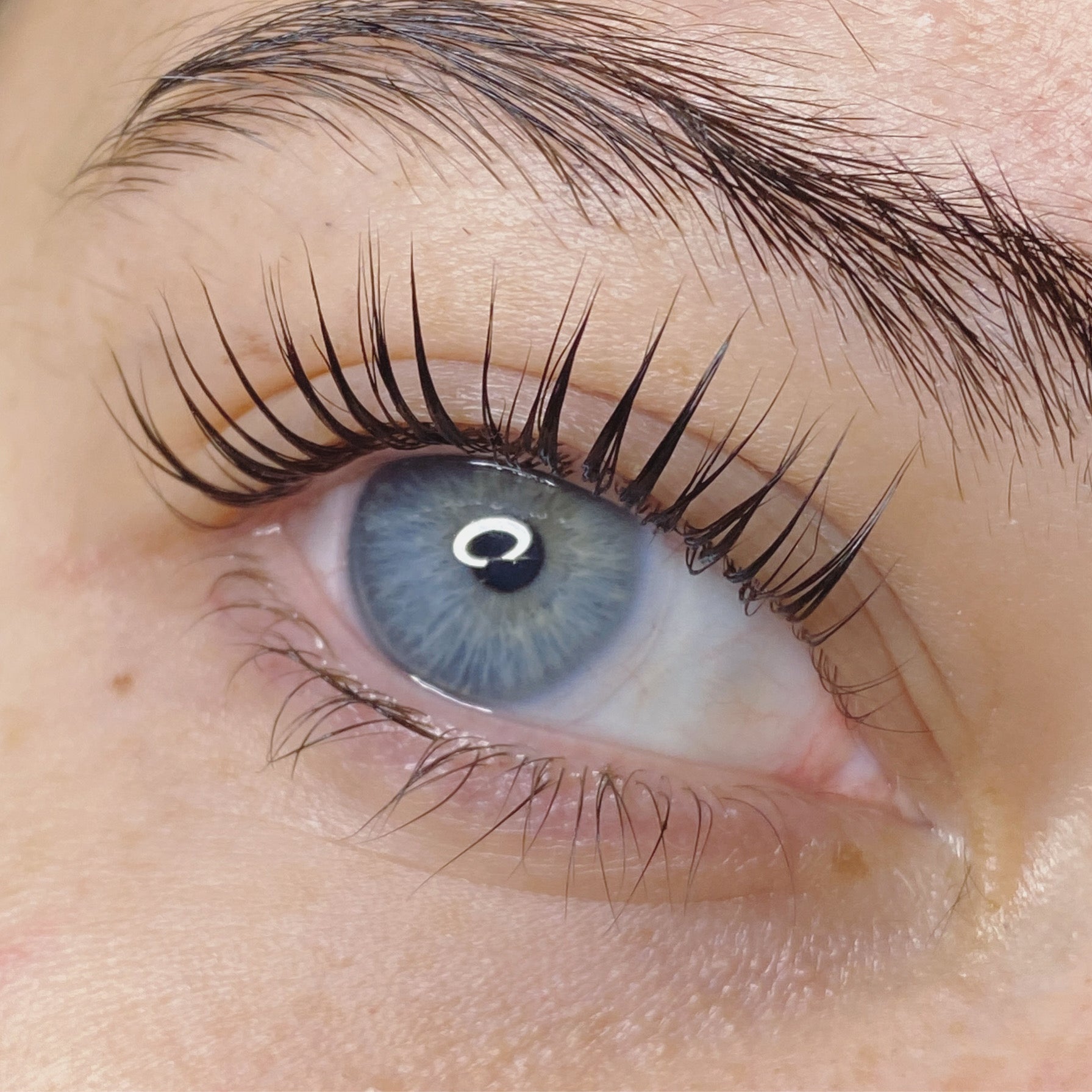 Elleeplex Profusion Lash Lift and Brow Lamination 1 Day Course - Shannon Boyle