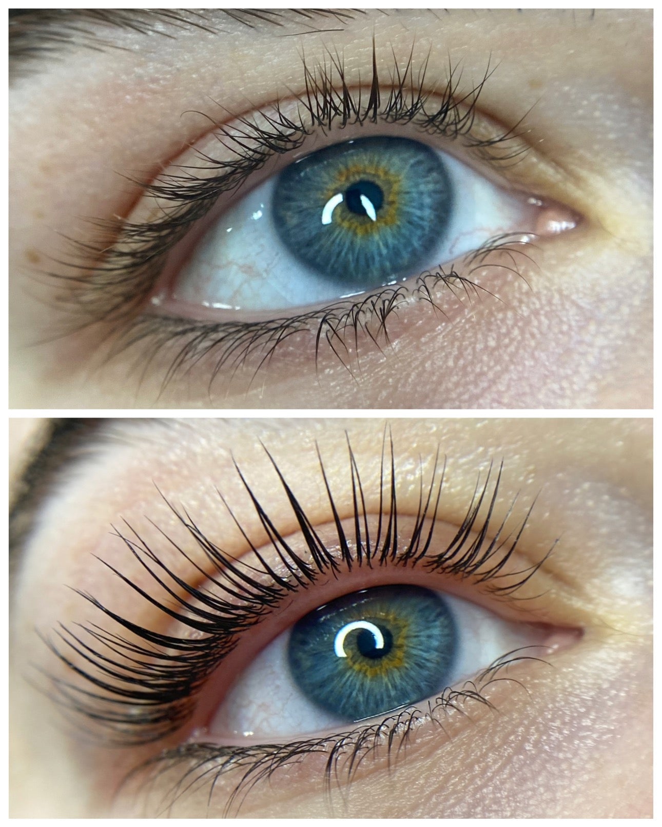 Online - Elleebana One Shot Lash Lift Course - Shannon Boyle