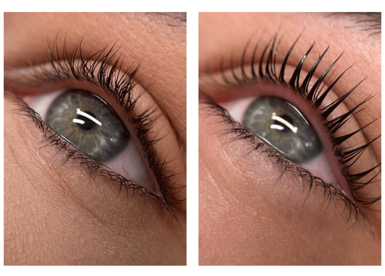 Online – Elleeplex Lash Lamination Conversion & Korean Lash Lift Techniques Bundle 