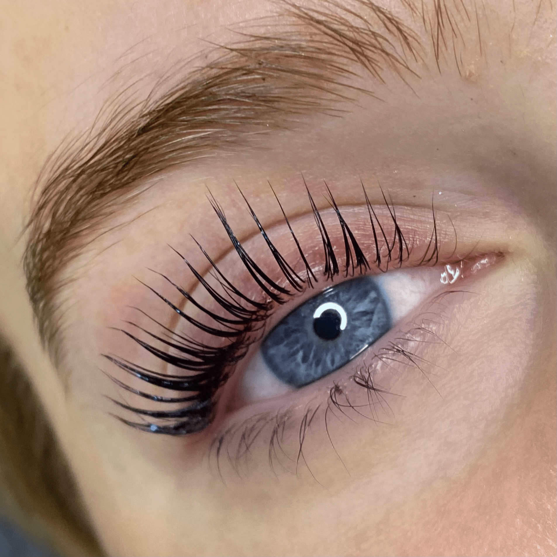 Online - Elleeplex Profusion Lash Lamination Course - Shannon Boyle